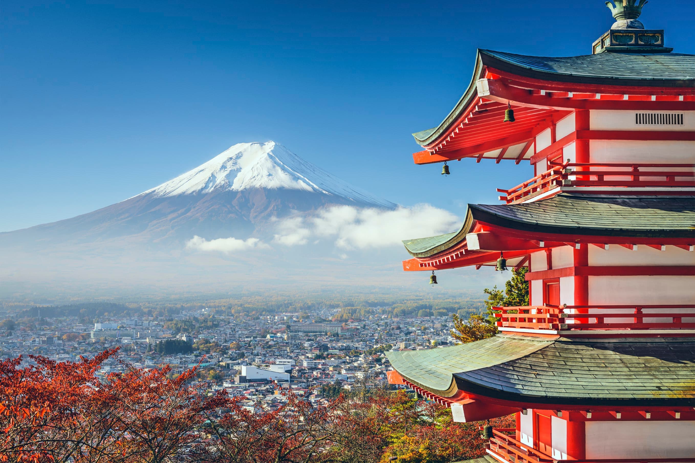 Joyful Japan